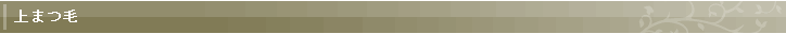 上まつ毛